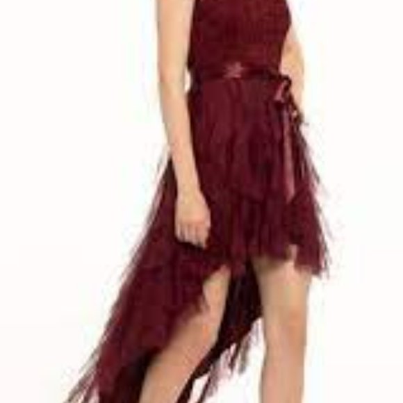 Teeze Me Burgundy Glitter Lace Ruffle High Low Dress Size 1 - Picture 3 of 5